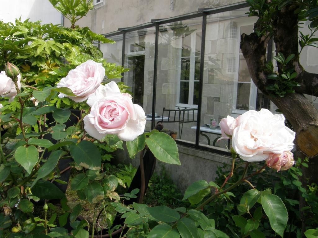 La Maison Douce Сен-Мартен-де-Ре Екстер'єр фото